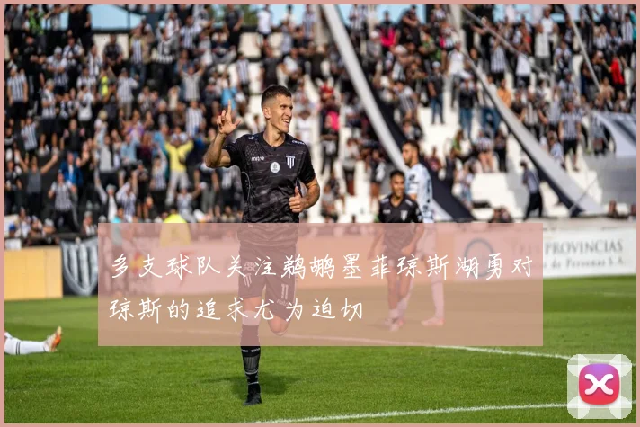 多支球队关注鹈鹕墨菲琼斯湖勇对琼斯的追求尤为迫切